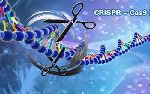 Science最新揭秘：除了CRISPR，細菌體內還存在超10種免疫防御系統